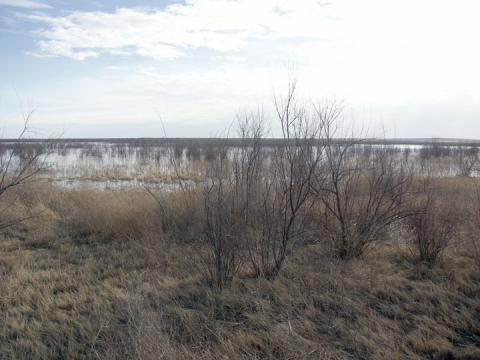 John Martin Landscape